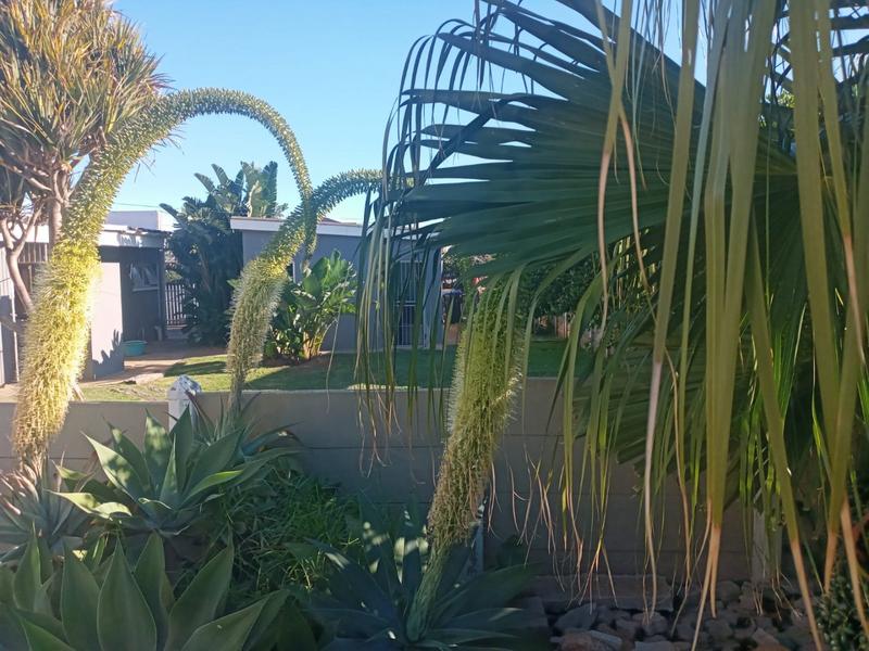 4 Bedroom Property for Sale in C Place Eastern Cape